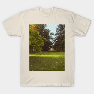 September lanscape in a park photo poster T-Shirt